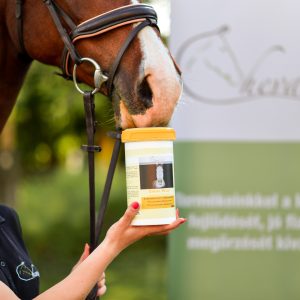 Cheval Relax
